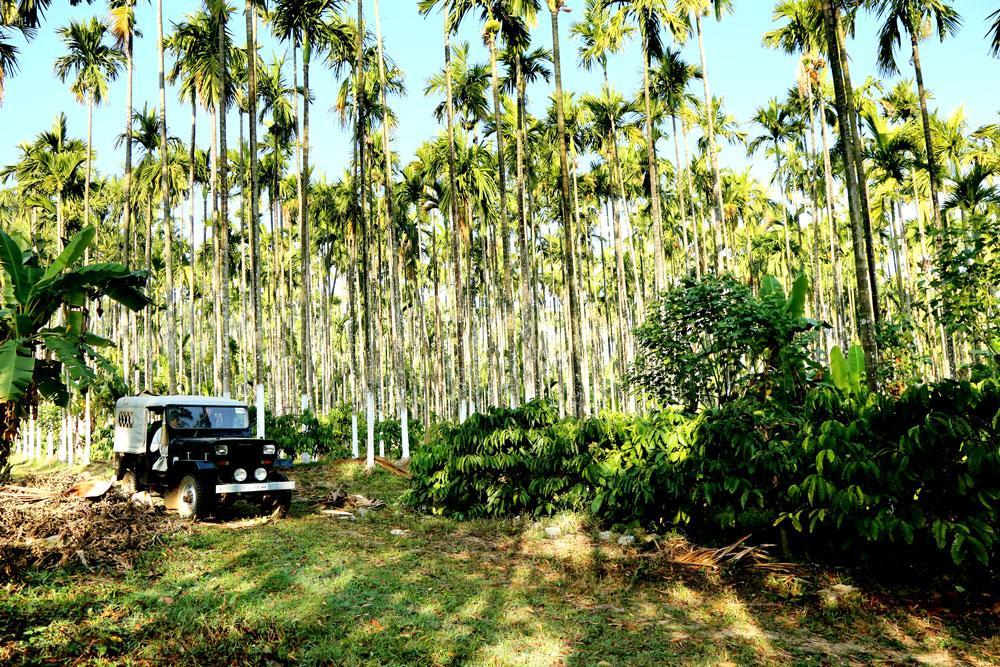 Coffee Native - A Family Homestay Mudigere Room photo